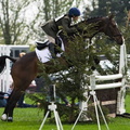 Ardingly Horses 59-18-04-2009