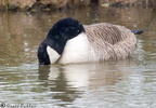 Drake 05-04-2008