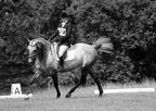 Eridge Horse Trails 04-07-2009