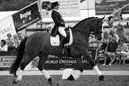 Hickstead 25-07-2009