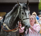 Plumpton 13-5-12 L2C0779