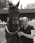 Plumpton 13-5-12 L2C0788