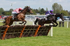Plumpton 13-5-12 L2C0830