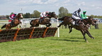 Plumpton 13-5-12 L2C0834