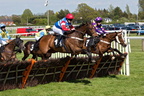 Plumpton 13-5-12 L2C1131