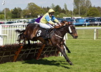 Plumpton 13-5-12 L2C1157