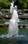 POTN 08-06-2008