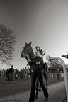 Plumpton 03-12-2008