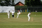 Cricket